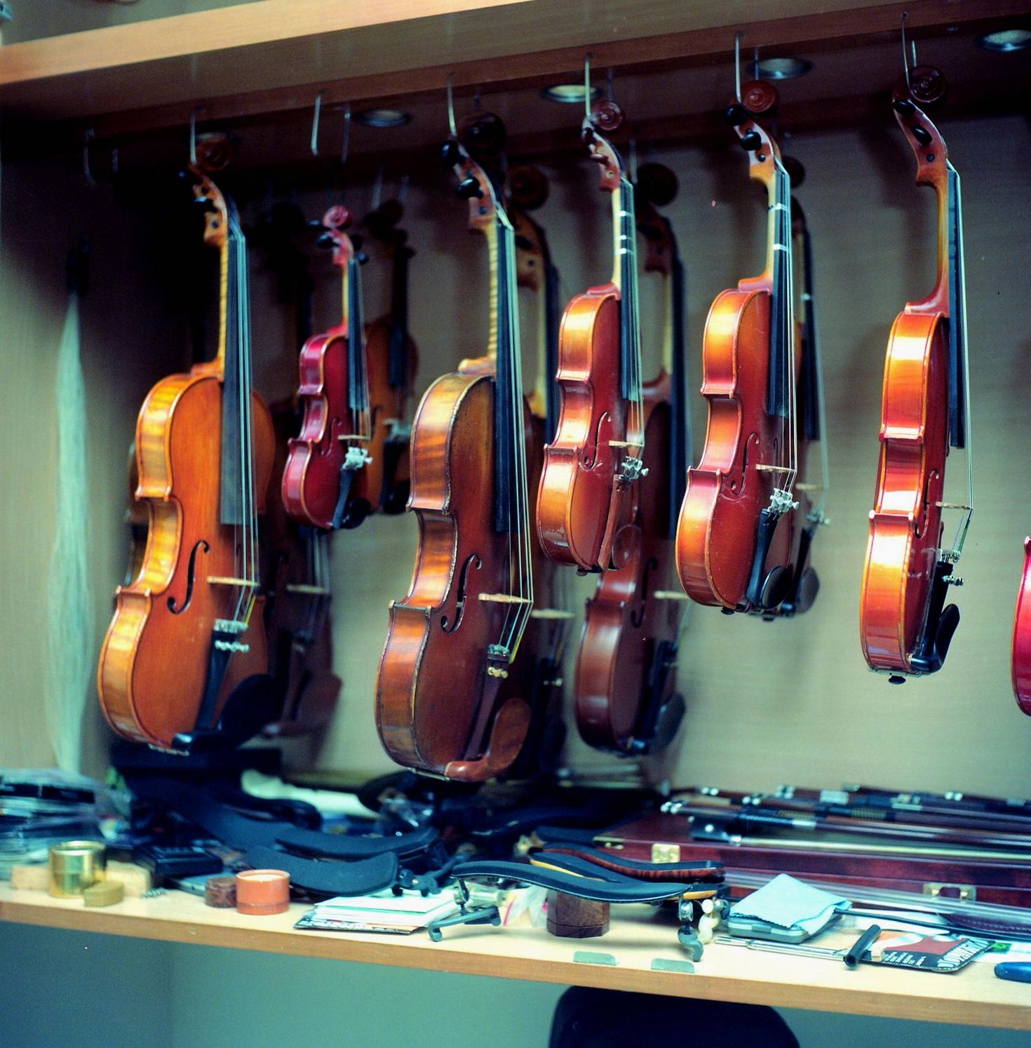 Violins display
